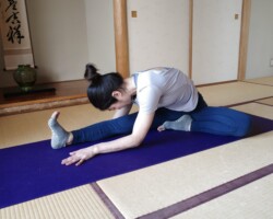 ハーフバタフライ(半分の蝶々)