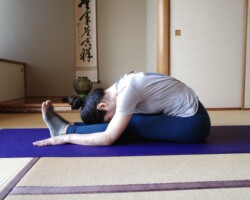 キャタピラー(いもむし)