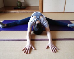 ドラゴンフライ-トンボ