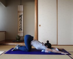 ハートメルティングポーズ