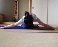 シューレース(靴紐)