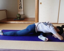 スリーピングスワン-眠った白鳥