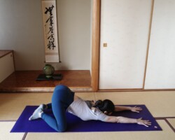 フロッグ-カエル