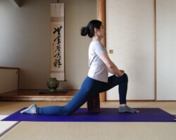 ドラゴン(軽減)