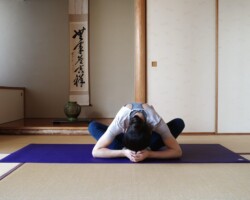 バタフライ(蝶々)